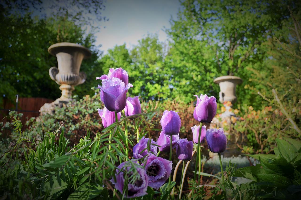 U Zlate Brany Cesky Raj Wellness Otel Libuň Dış mekan fotoğraf